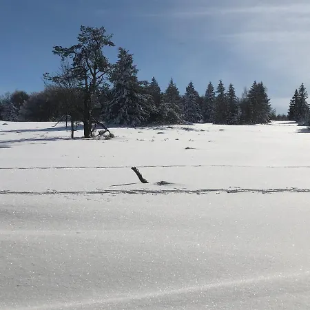 Appartement Emma Olsberg