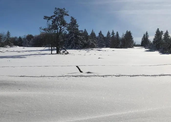 Apartman Emma Olsberg